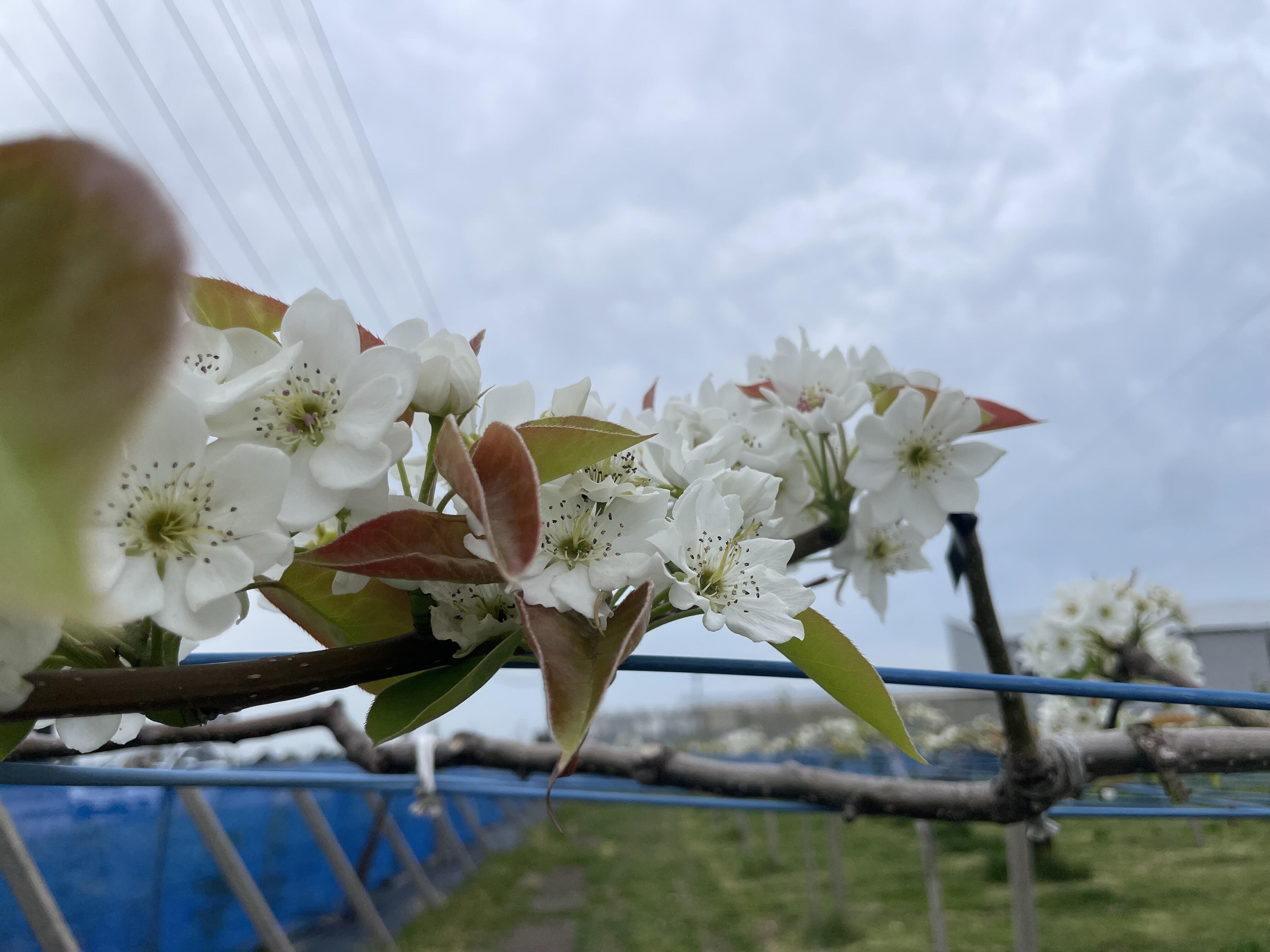 C7308364-6403-4027-9C90-ABD3009068C3.jpg