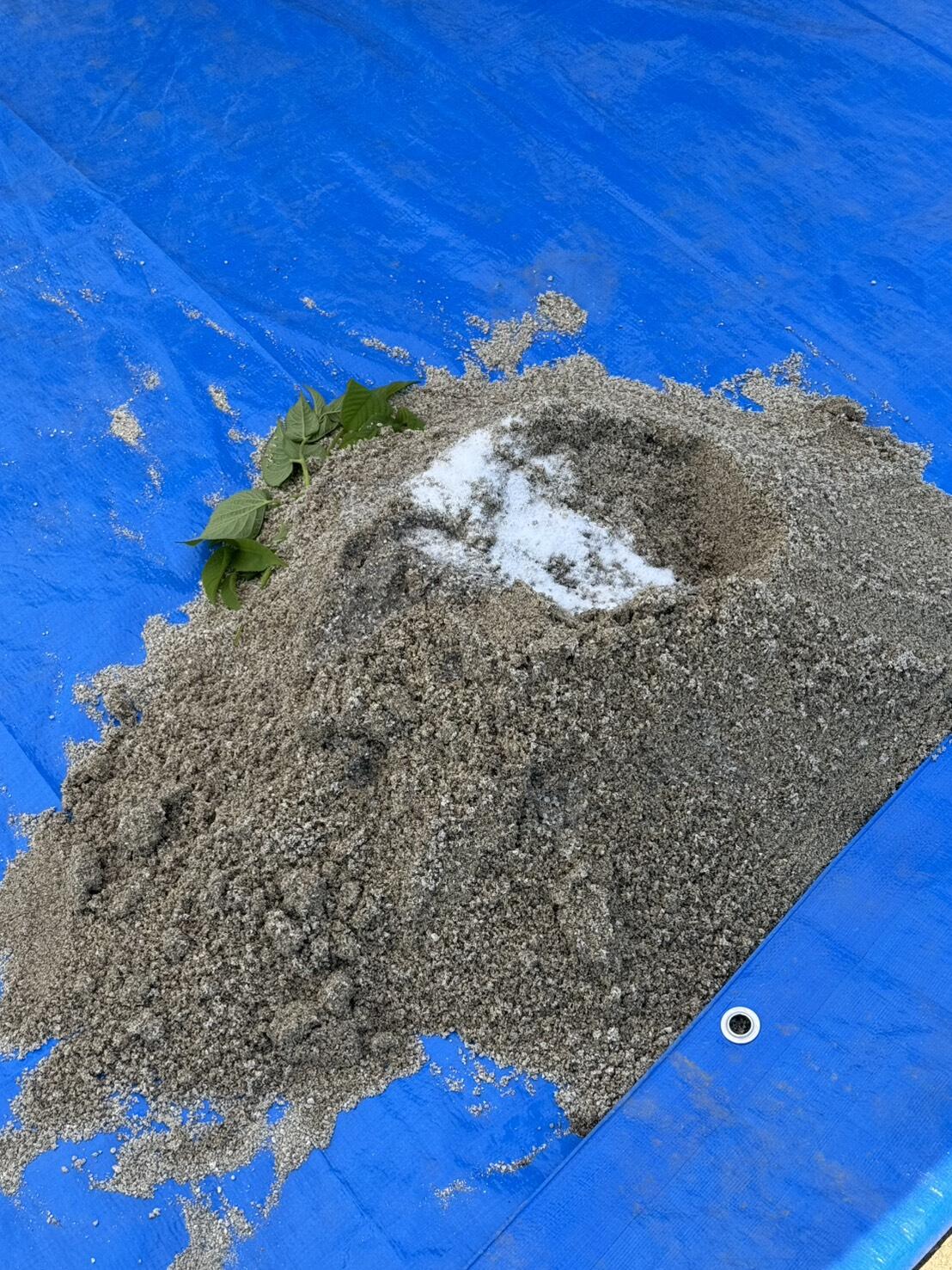 S__9084990_0.jpg
